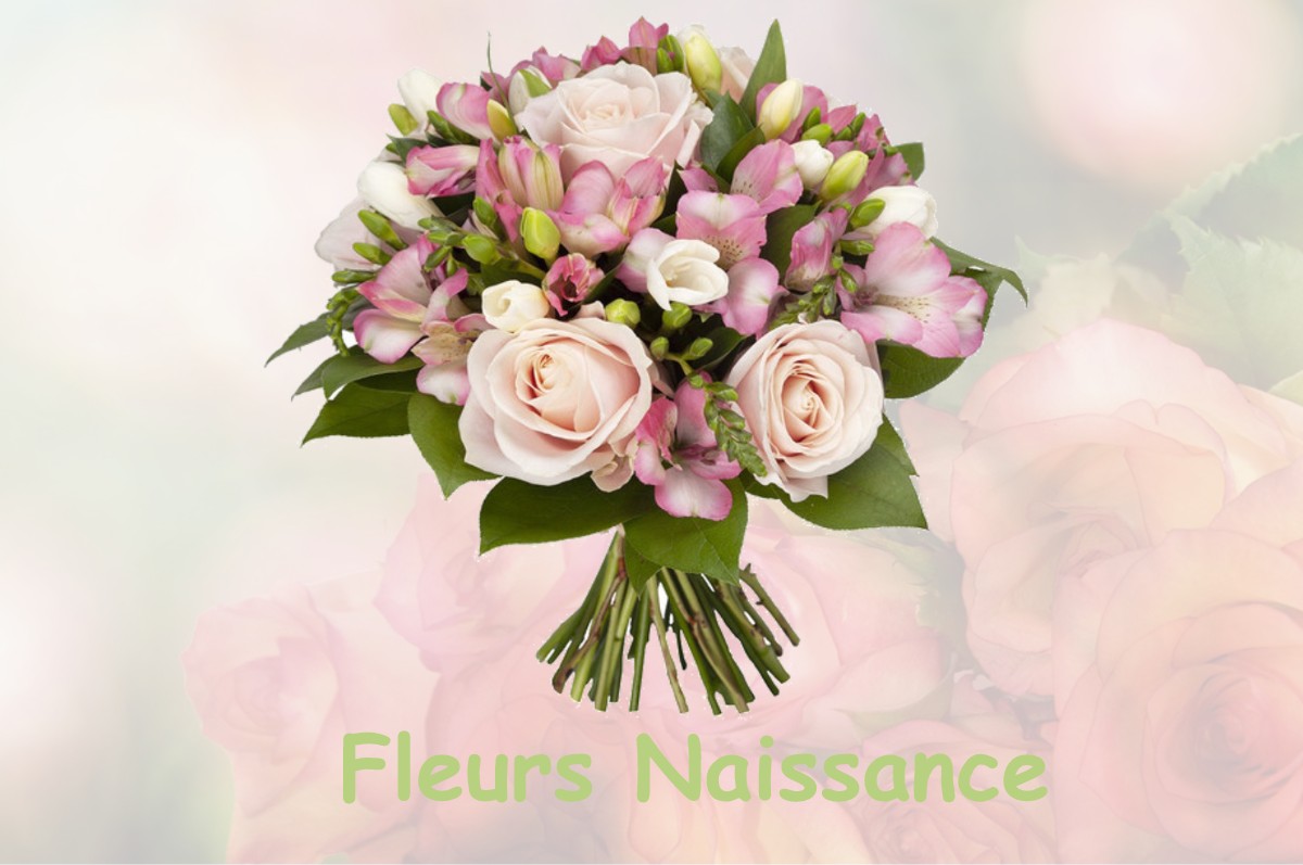 fleurs naissance VERGES