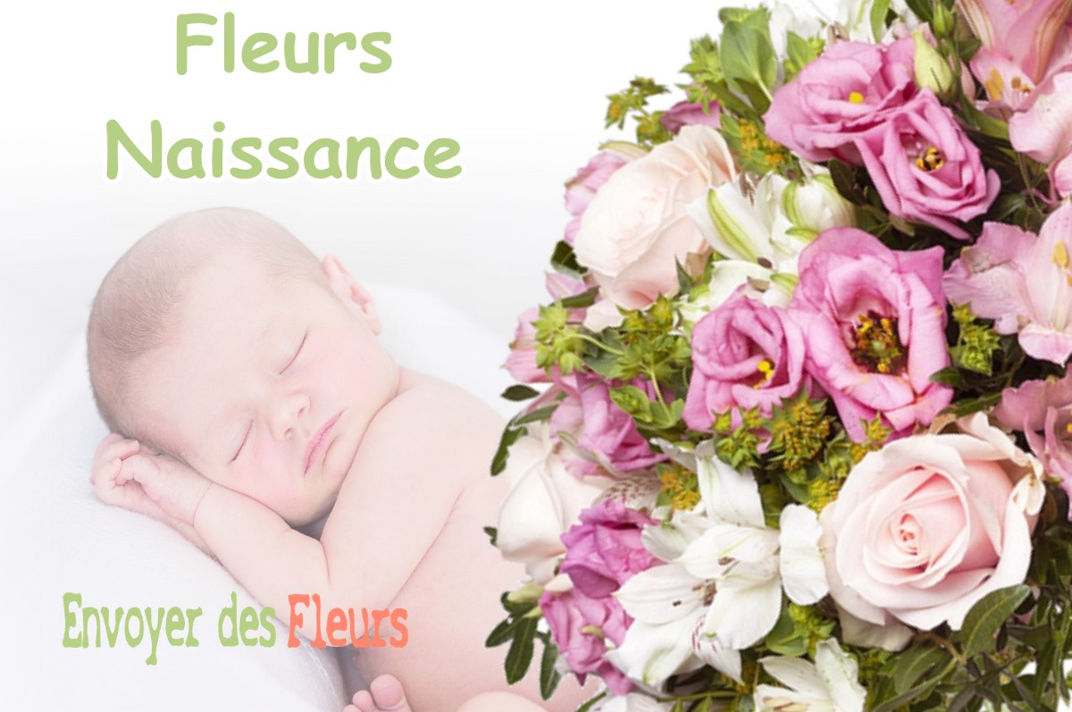 lIVRAISON FLEURS NAISSANCE à VERGES